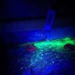 Rat tracking dust glowing