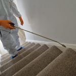 How much does Flea pest control cost