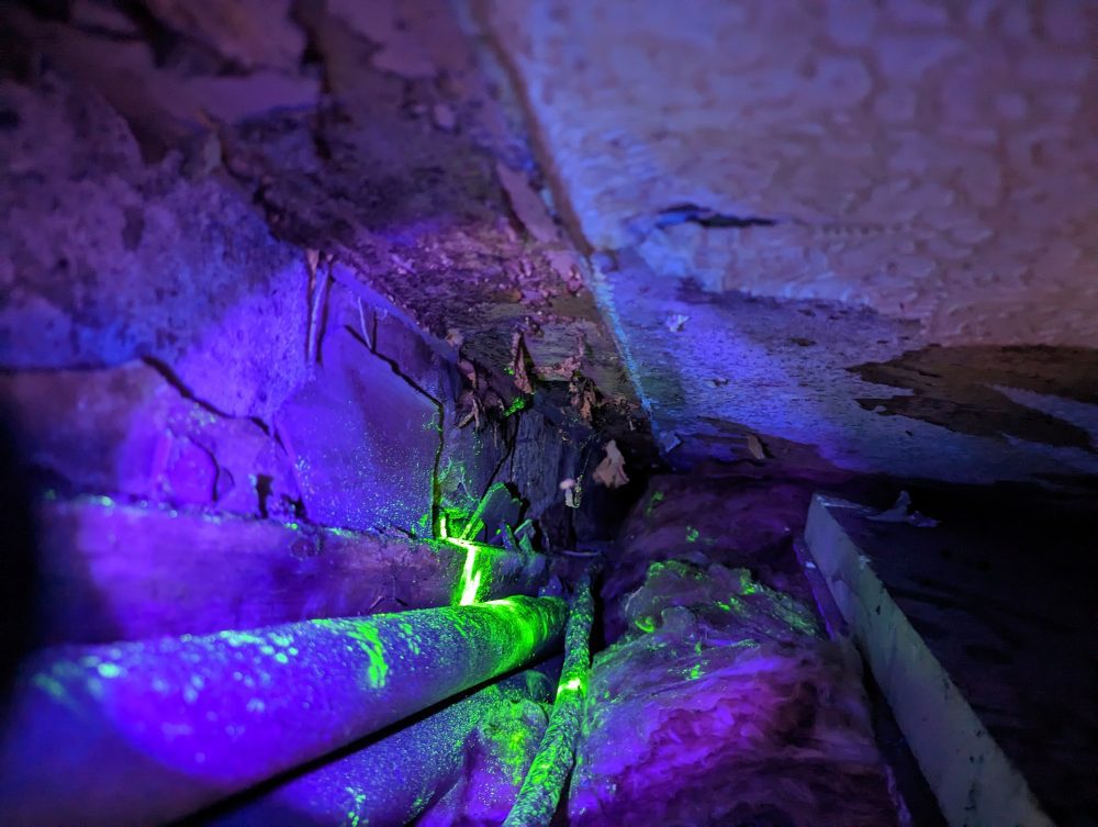 Pest Survey - Monitor dust
